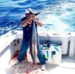 The fight is on—game fish hooked!